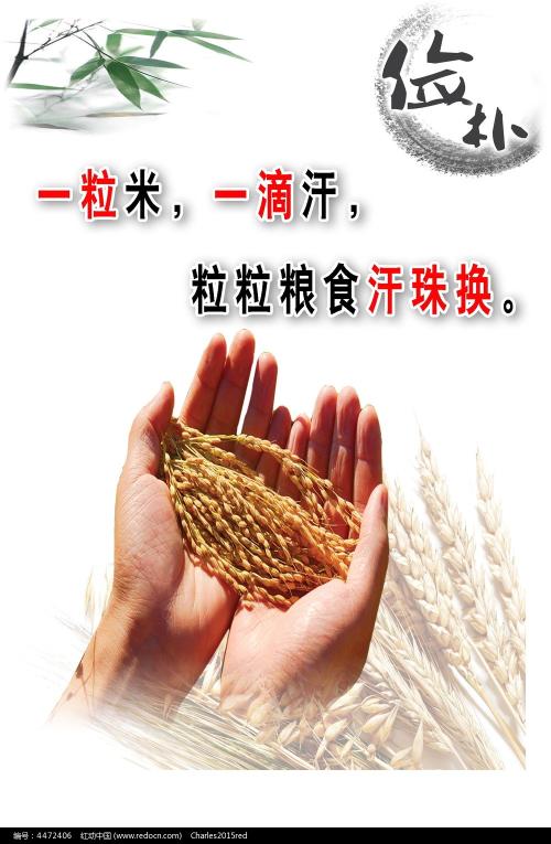 新潟国際情報大学degree certificate